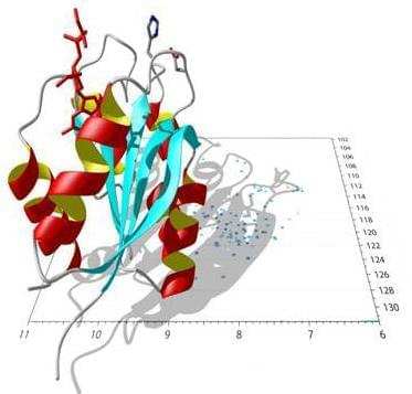 Stable Isotope Labeling